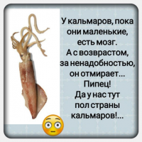 2169334_900.png